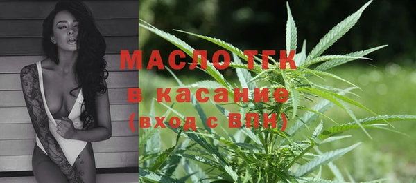 дмт Каменногорск