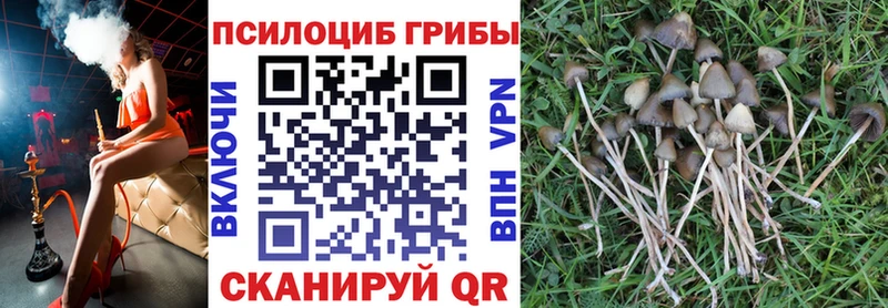 Купить  Первомайск  Галлюциногенные грибы мицелий 